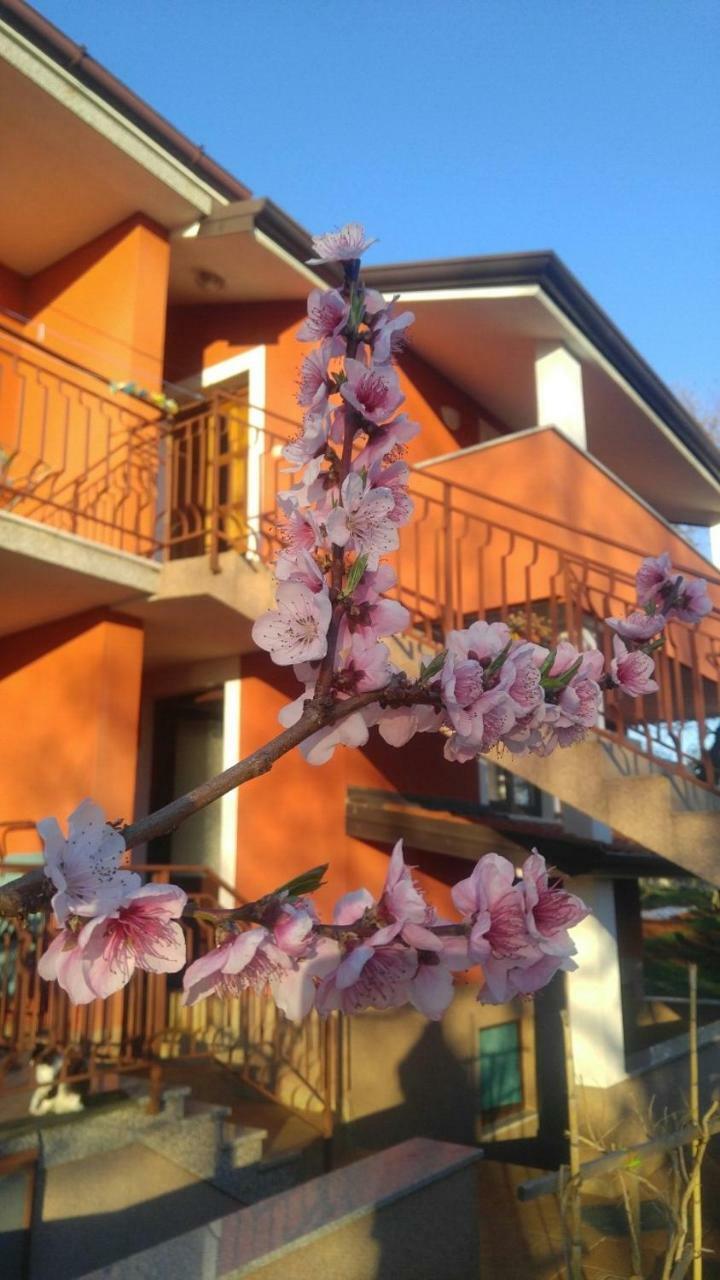 Apartment Zita With 1 Bedroom In Relaxing Surroundings Near Umag Zewnętrze zdjęcie
