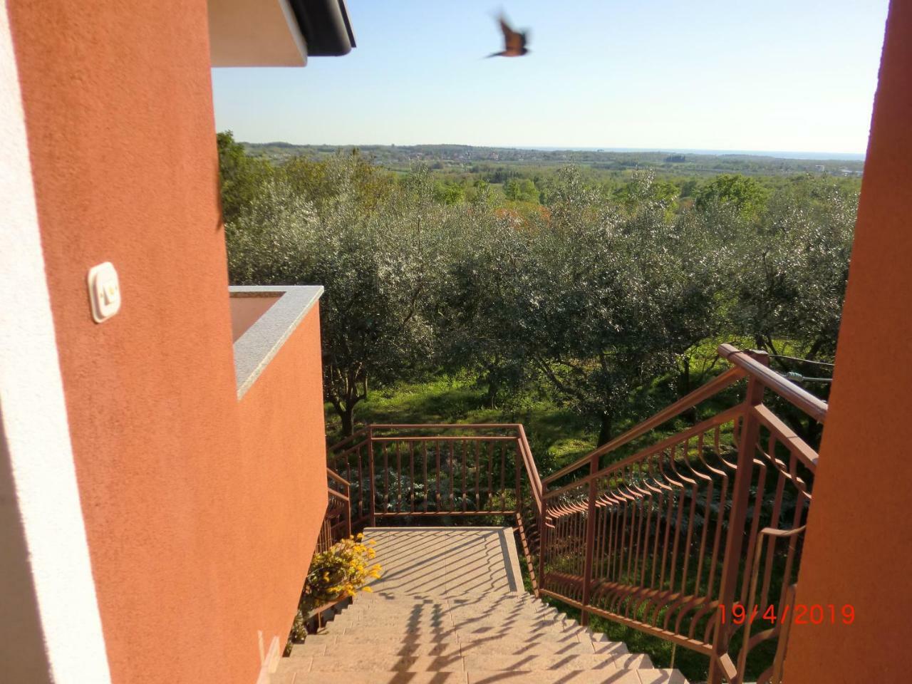 Apartment Zita With 1 Bedroom In Relaxing Surroundings Near Umag Zewnętrze zdjęcie